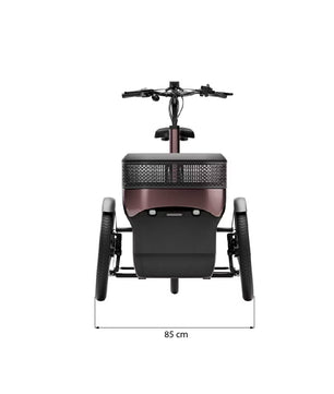 vanRaam Thuja trehjulet cykel
