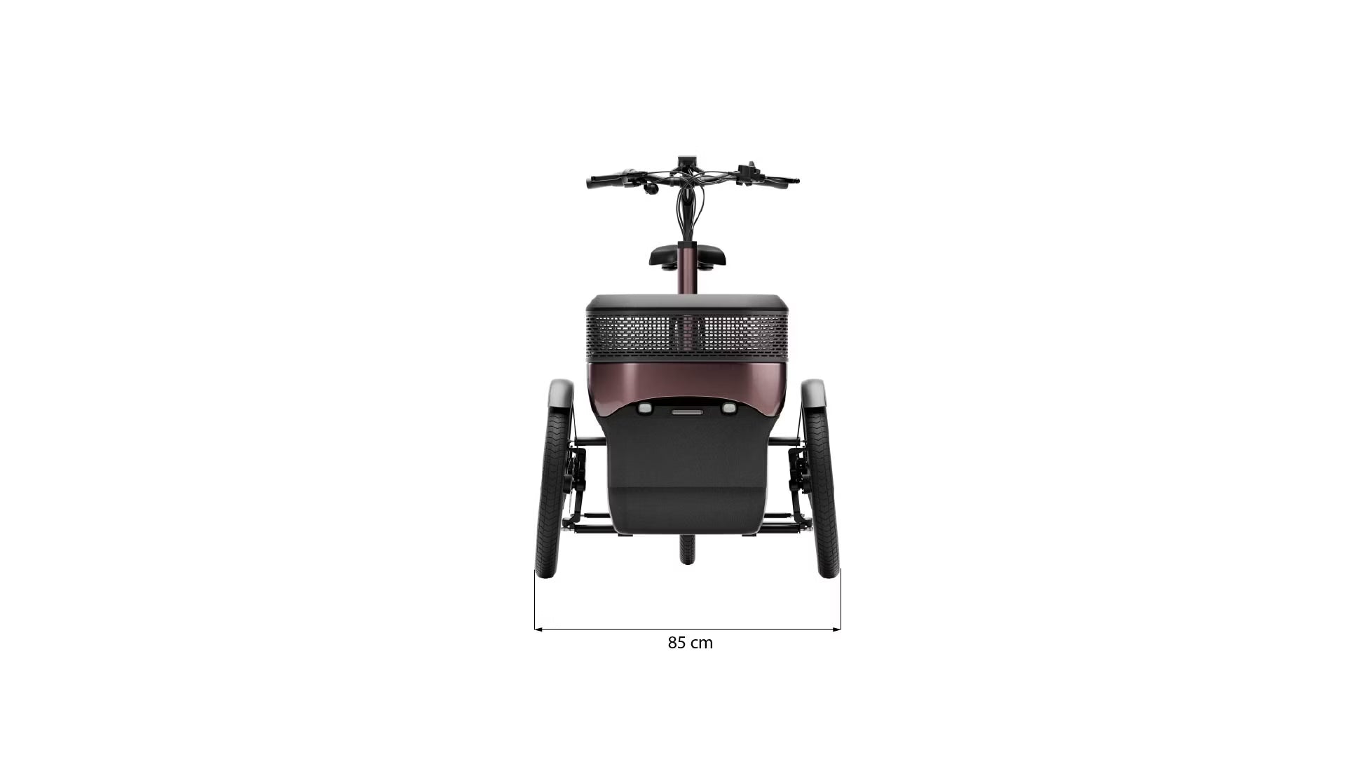 vanRaam Thuja trehjulet cykel