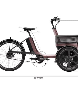 vanRaam Thuja trehjulet cykel