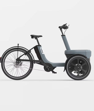 vanRaam Thuja trehjulet cykel