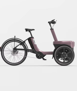 vanRaam Thuja trehjulet cykel
