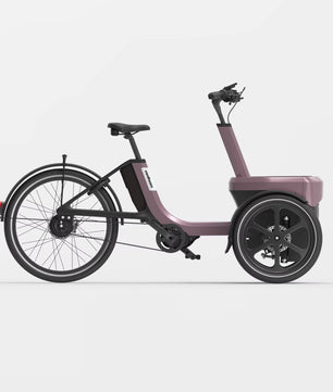vanRaam Thuja trehjulet cykel