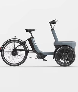 vanRaam Thuja trehjulet cykel