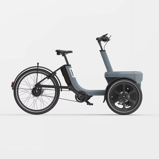 vanRaam Thuja trehjulet cykel