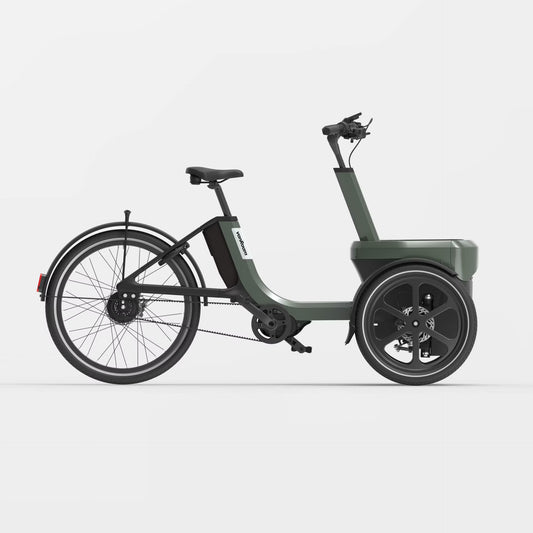 vanRaam Thuja trehjulet cykel