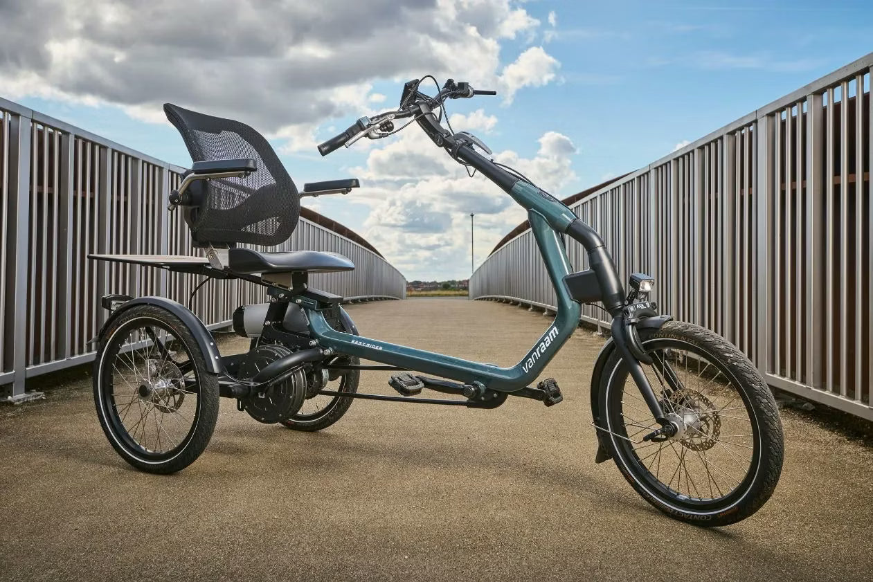 vanRaam Easy Rider trehjulet cykel