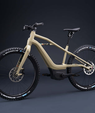 Harley-Davidson BASH MTN