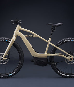 Harley-Davidson BASH MTN