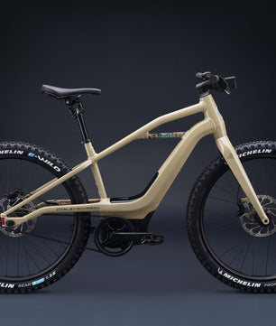 Harley-Davidson BASH MTN