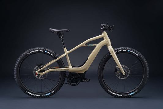 Harley-Davidson BASH MTN