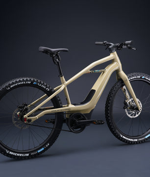 Harley-Davidson BASH MTN