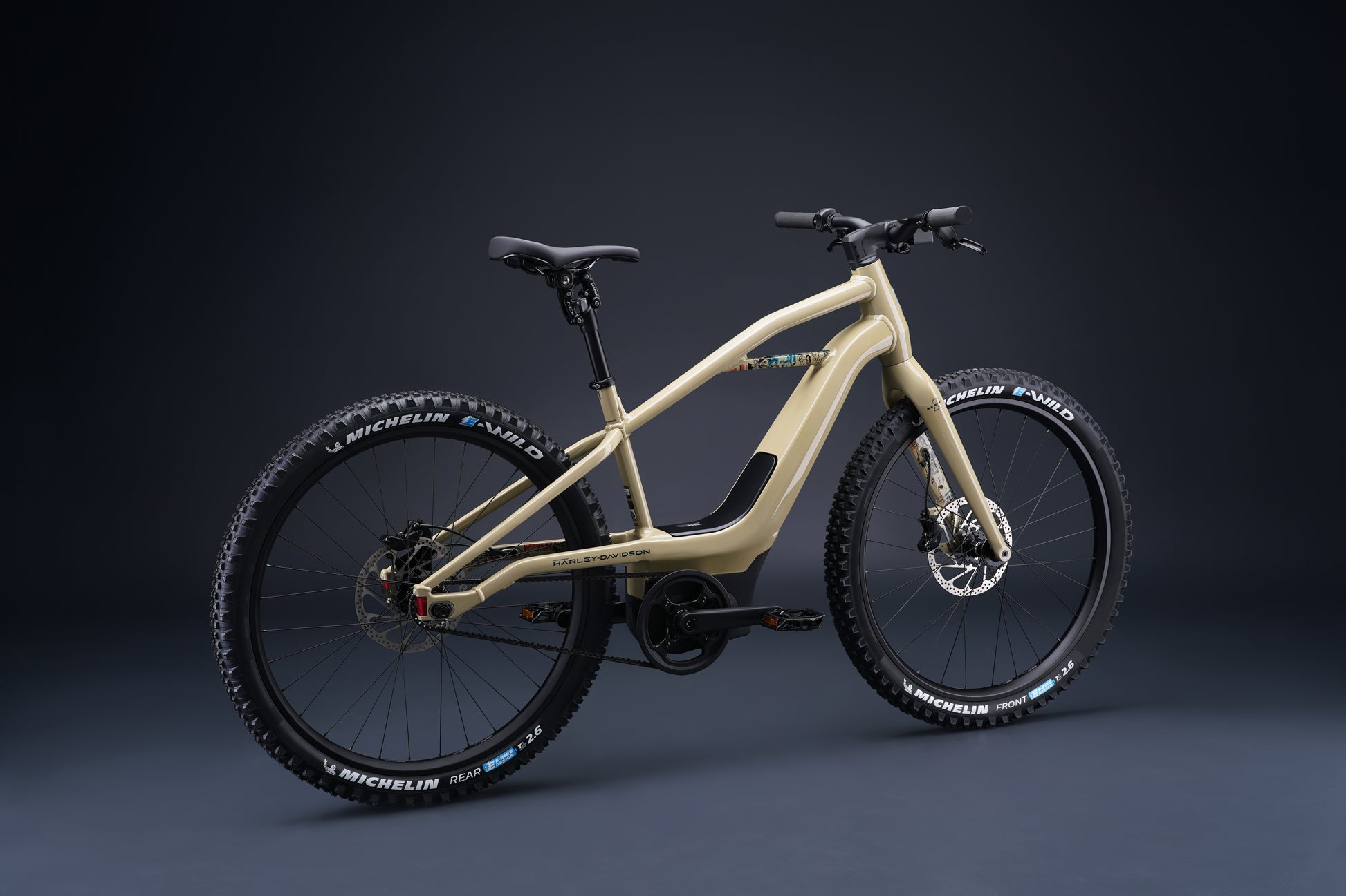 Harley-Davidson BASH MTN