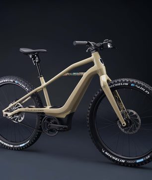 Harley-Davidson BASH MTN