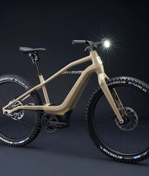 Harley-Davidson BASH MTN