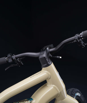 Harley-Davidson BASH MTN