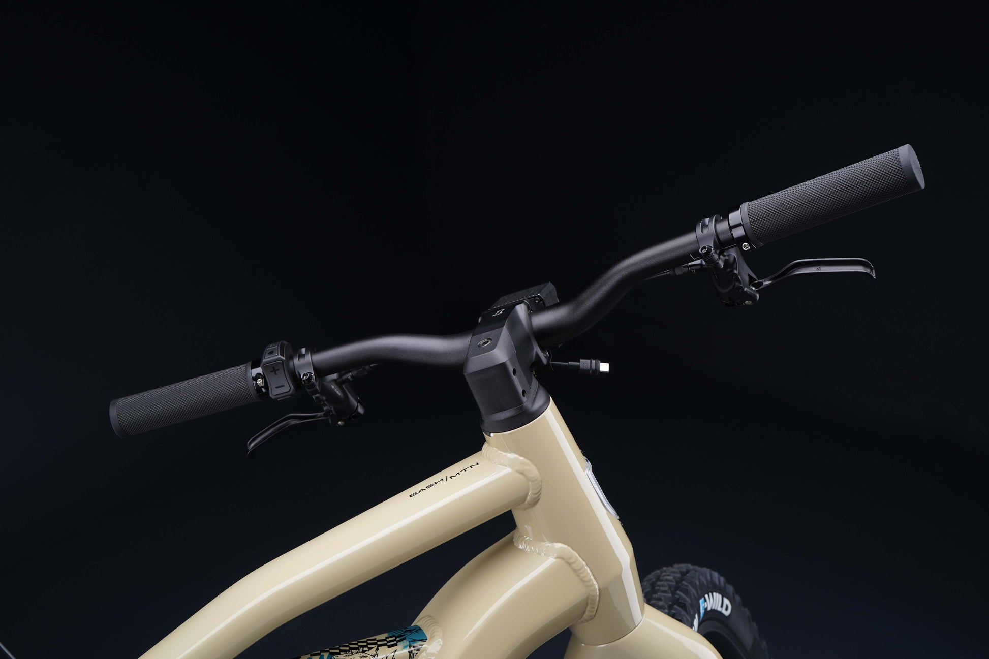 Harley-Davidson BASH MTN