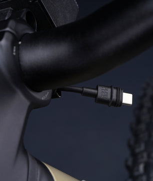 Harley-Davidson BASH MTN