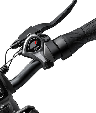 ENGWE EP-2 PRO 250W