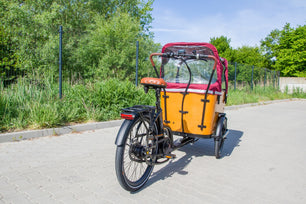 El ladcykel Mobike Curve Cruiser