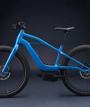 Harley-Davidson MOSH CITY