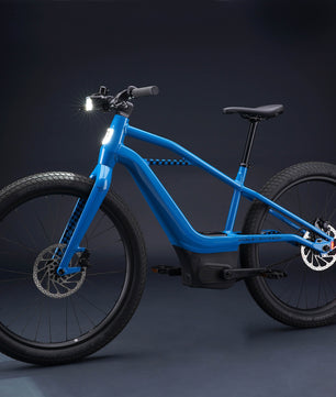 Harley-Davidson MOSH CITY