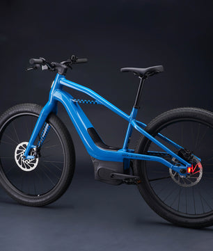 Harley-Davidson MOSH CITY