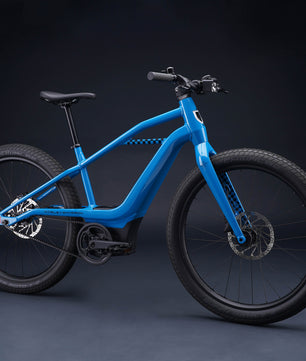 Harley-Davidson MOSH CITY