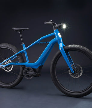 Harley-Davidson MOSH CITY