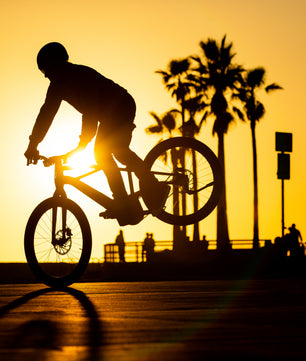 Harley-Davidson MOSH CITY