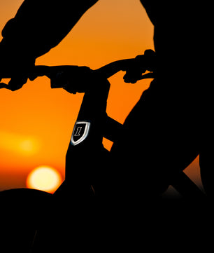 Harley-Davidson MOSH CITY