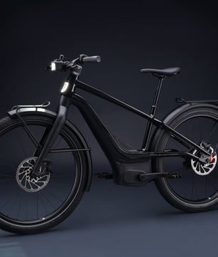 Harley-Davidson RUSH CITY