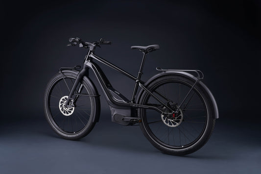 Harley-Davidson RUSH CITY