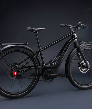 Harley-Davidson RUSH CITY