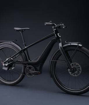 Harley-Davidson RUSH CITY