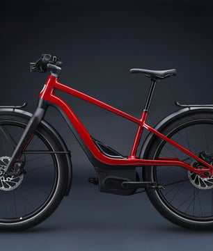 Harley-Davidson RUSH CITY