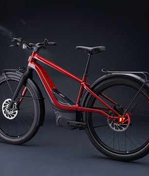 Harley-Davidson RUSH CITY