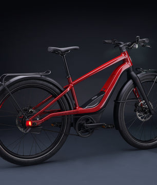 Harley-Davidson RUSH CITY