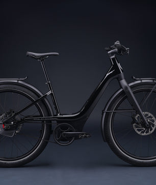 Harley-Davidson RUSH CITY ST