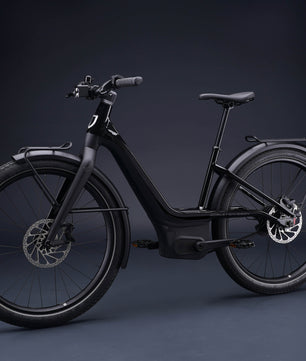 Harley-Davidson RUSH CITY ST