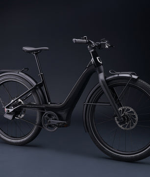 Harley-Davidson RUSH CITY ST