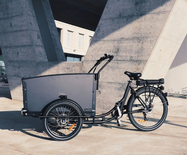 Cargokid Premium Curve Master