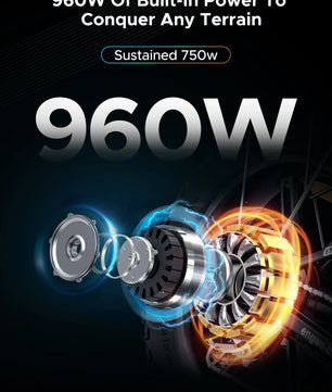 ENGWE EP-2 PRO 250W