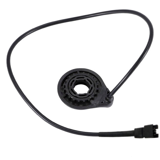 Engwe Kranksensor