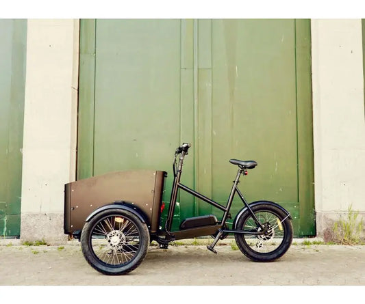 CargoKid Premium Deluxe El-ladcykel