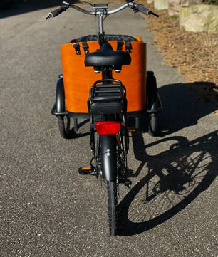 Cargokid Premium Woodie Bike