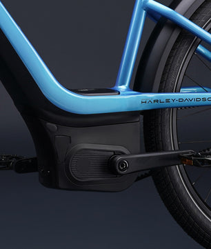 Harley-Davidson RUSH CITY ST