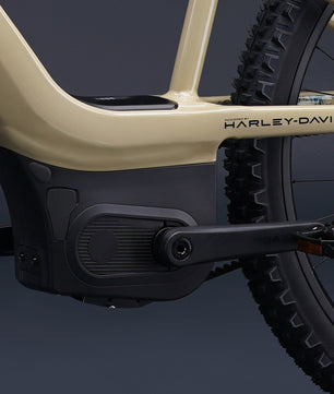 Harley-Davidson BASH MTN