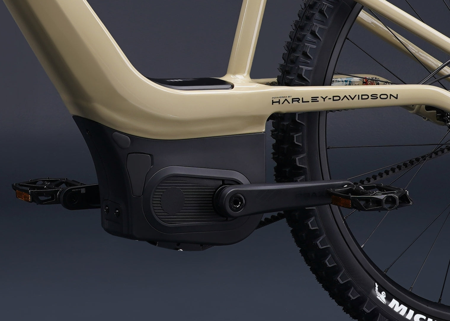 Harley-Davidson BASH MTN