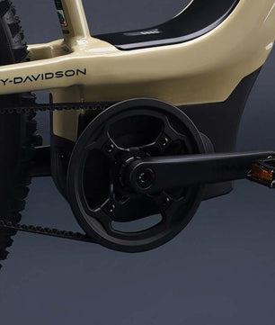 Harley-Davidson BASH MTN