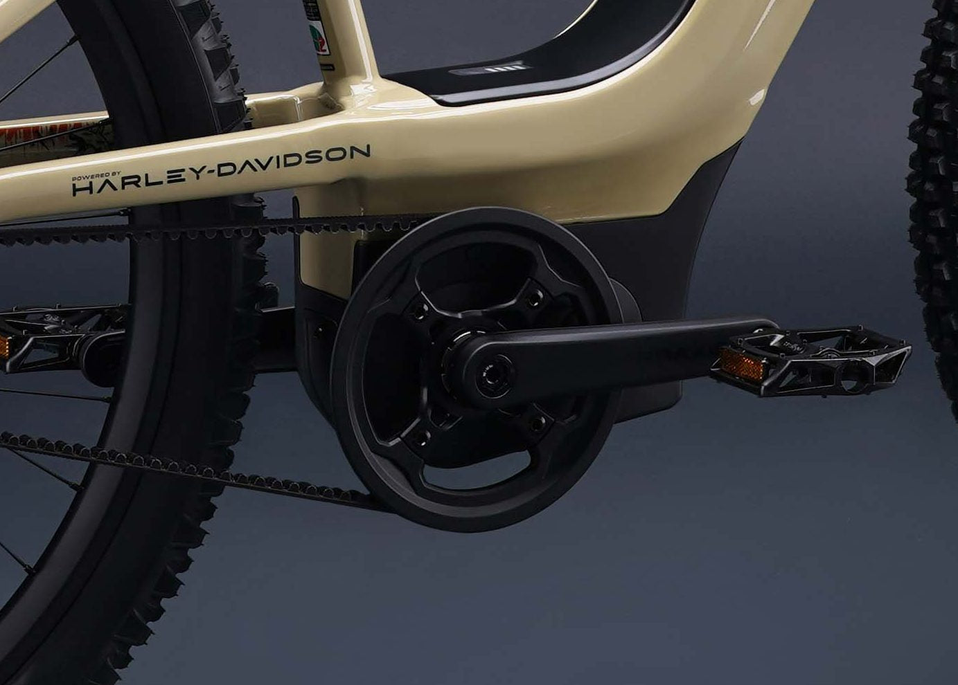 Harley-Davidson BASH MTN